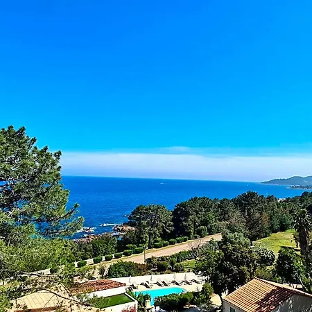 Canella Solenzara